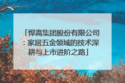 悍高集团股份有限公司：家居五金领域的技术深耕与上市进阶之路